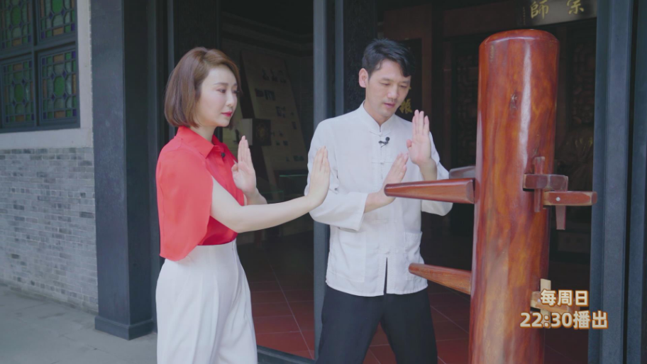 行进大湾区|访西樵山，学咏春拳，《行进大湾区》第四期走进佛山南海