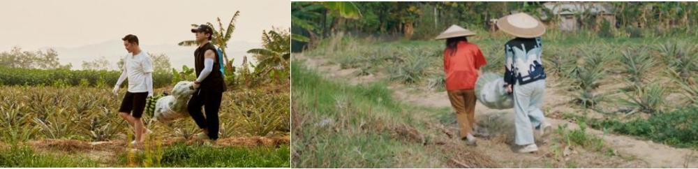 向往的生活|《向往的生活》：何炅的人脉成就节目，黄磊的饭局让生活有了烟火