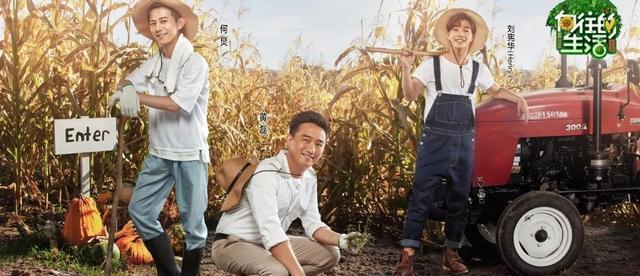 向往的生活|《向往的生活》：何炅的人脉成就节目，黄磊的饭局让生活有了烟火