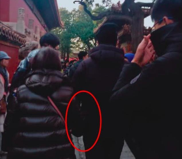 邓超|邓超74岁妈妈罕露面，一头黄发造型时髦，母子同框搞怪画面温馨
