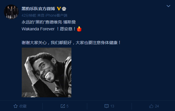 查德维克·博斯曼|《黑豹》男主去世，黑豹乐队躺枪，部分网友恶意玩梗遭怒批