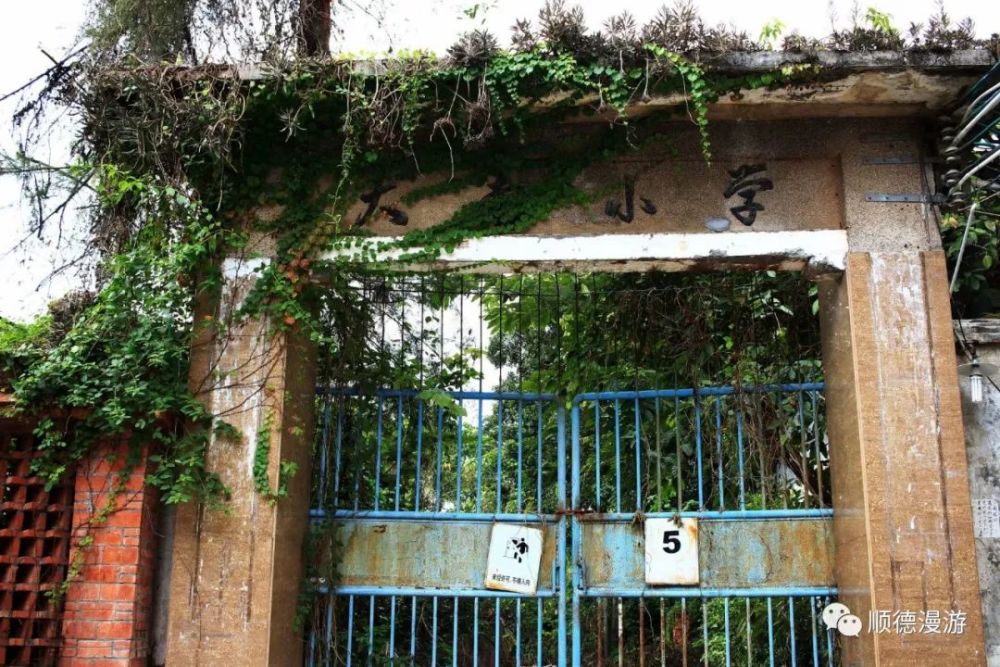 顺德伦教学校旧照