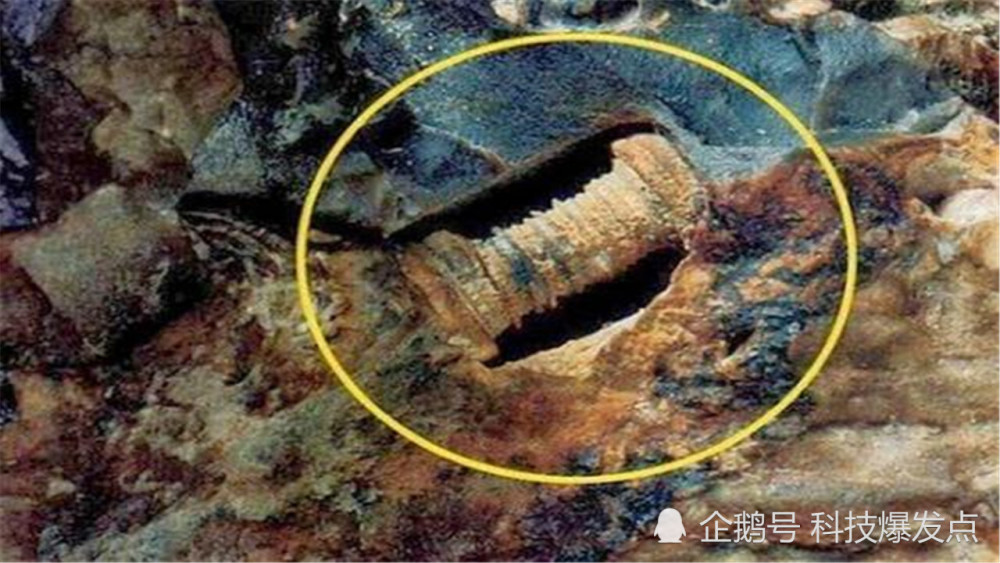 化石|5亿年前化石中，为何会出现人类脚印？难道人类出现的时间更早？