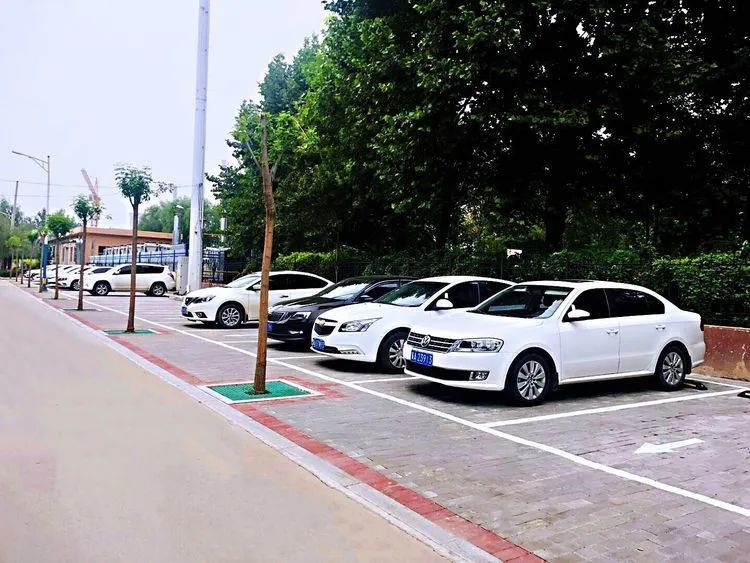 藁城再添2个林荫停车场,位置就在
