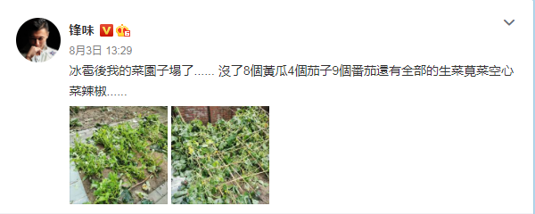 谢霆锋|5G冲浪少年！王俊凯留言为谢霆锋庆生：祝菜园子无坚不摧