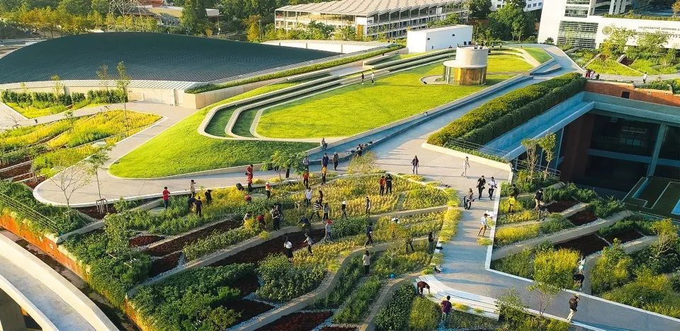 亚洲最大的屋顶有机农场 泰国国立法政大学屋顶有机农场 Landprocess 腾讯新闻