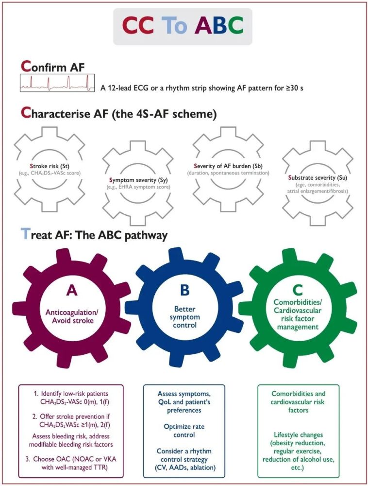 房颤|重磅！2020 ESC房颤管理指南颁布，更新要点图表一览