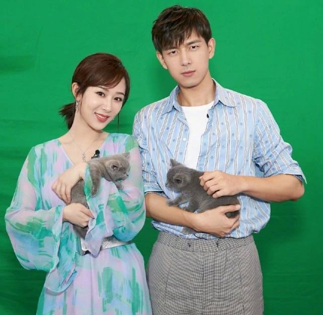 杨紫|维权成功又荣升普法大使！杨紫的21年童星路非议不断，仍涅槃重生