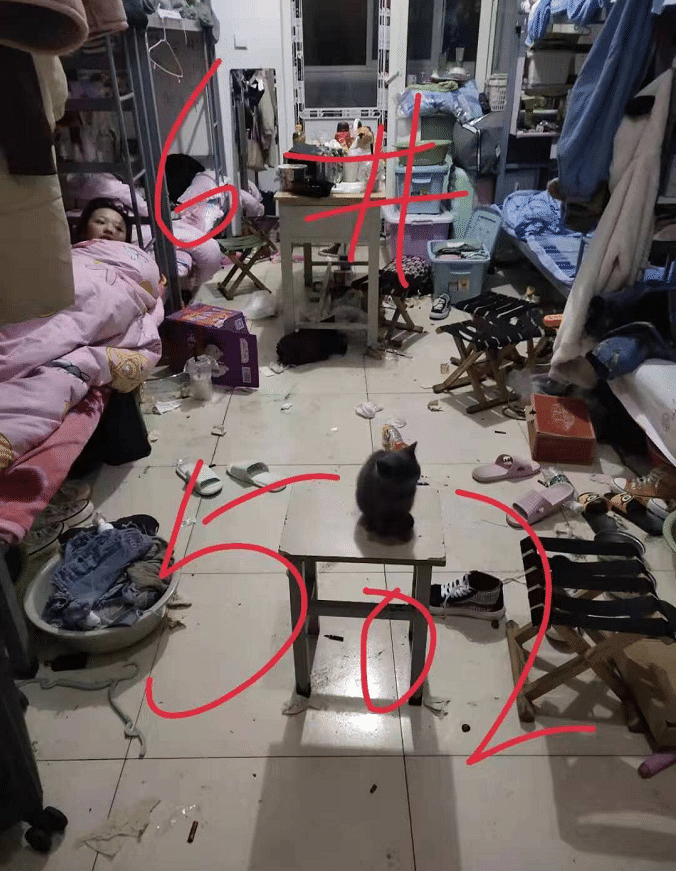 女生宿舍你们见过吗跟想象中的不一样呀哈哈哈哈闪瞎你的双眼