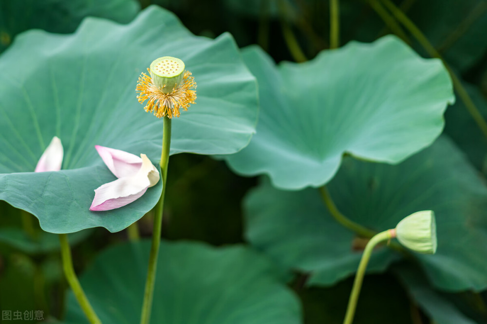 中暑|中考765分学霸军训中暑离世！除了健康，什么都是浮云