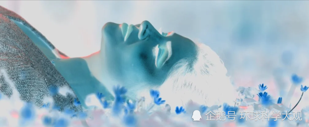 科学家|对24000个梦解析后，科学家证实：梦境确实是现实生活的延续