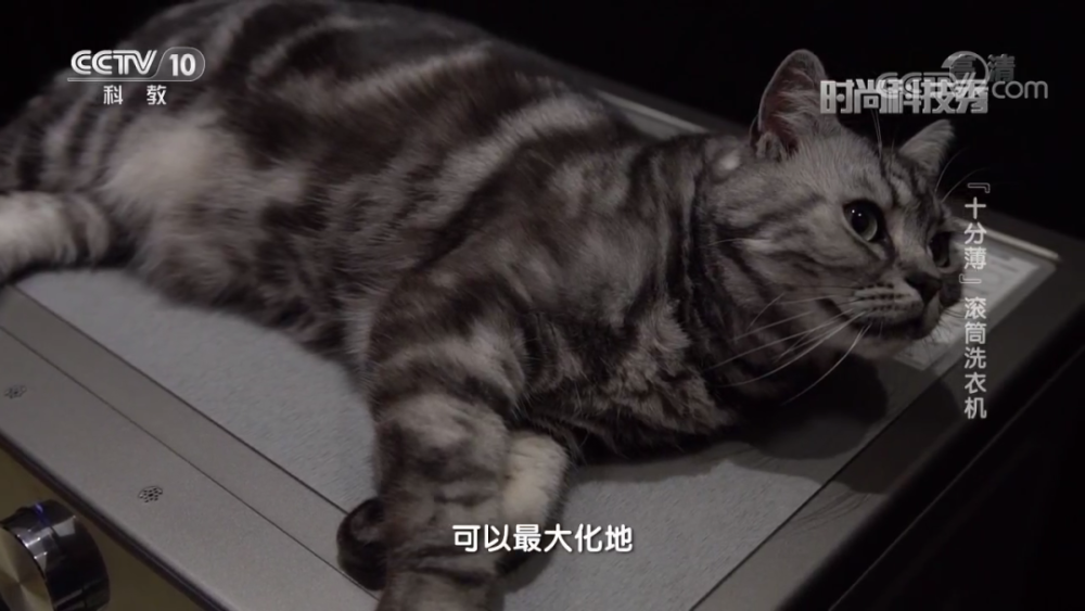 时尚科技秀|如何将洗衣变成一种轻松方便的家务？来看！