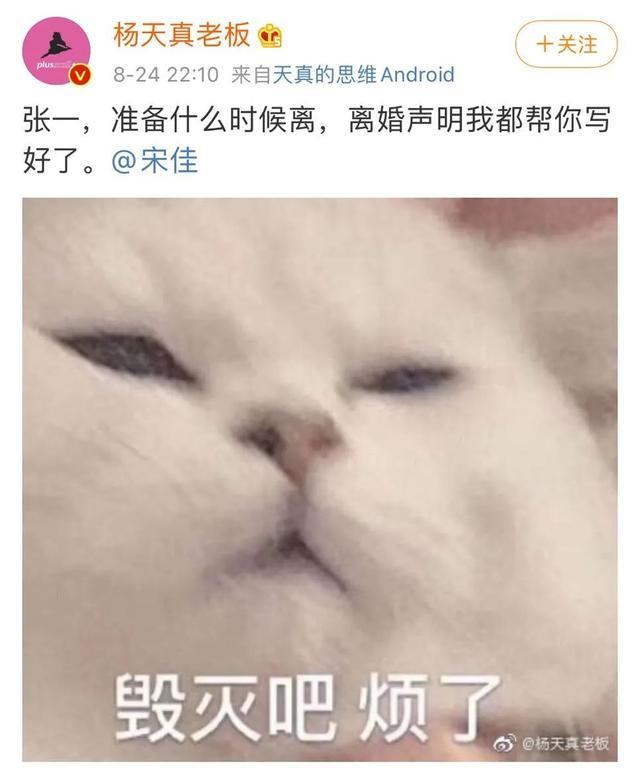 林有有|刘敏涛演活了“绿茶白月光”：林有有、凌玲的段位只能给她当门童