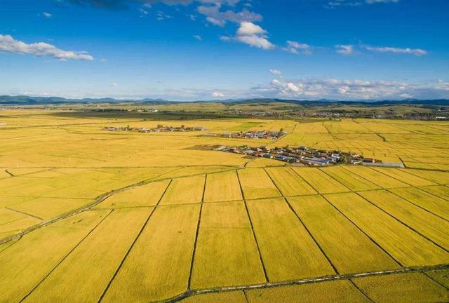 亚马孙平原|如果我国的第三级阶梯全都是平原地形，那会带来什么影响？