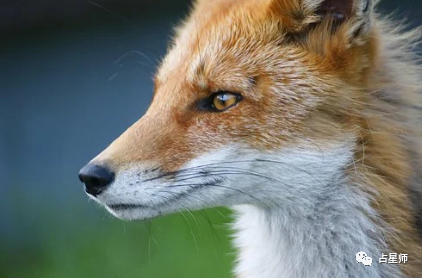 Tim 8月31日至9月6日星座运势 站在巨人的肩膀上 腾讯新闻