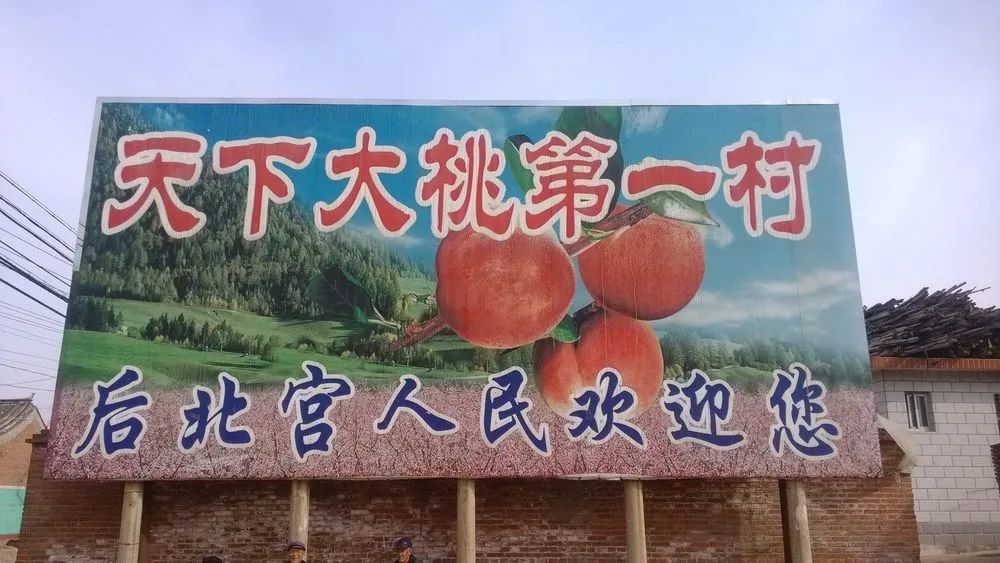 平谷大桃|吃鲜儿？吃沉？瓜果开胃 盛宴今晚开席