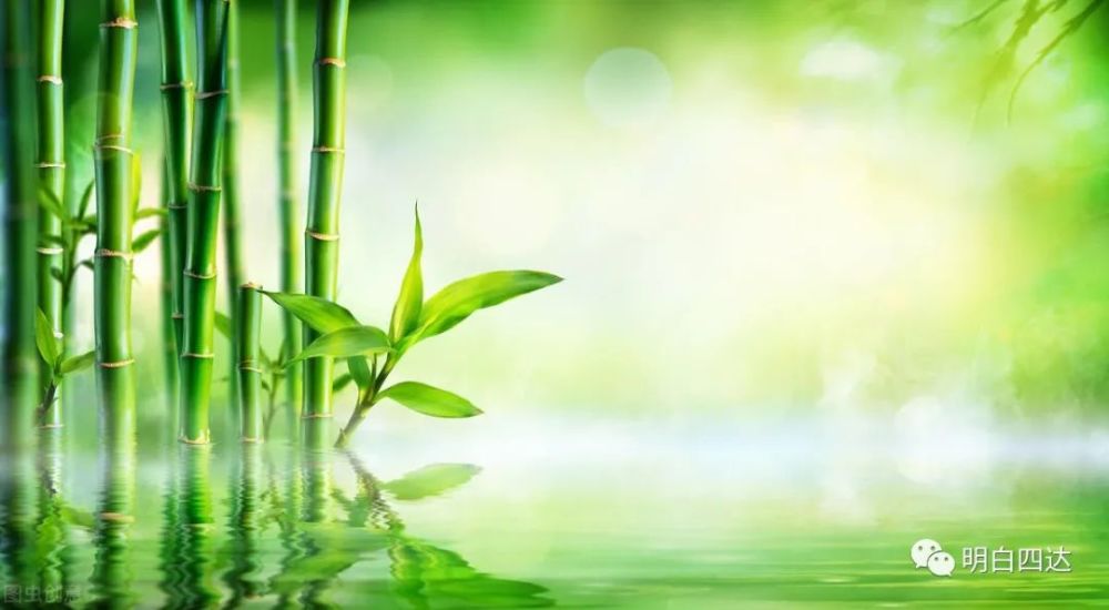 "竹有虚心风韵雅,松无傲气品格高",这里揭示了2个心理学技术