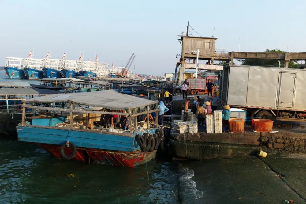 人文纪实津门网彭贞华白马井码头上的女人们