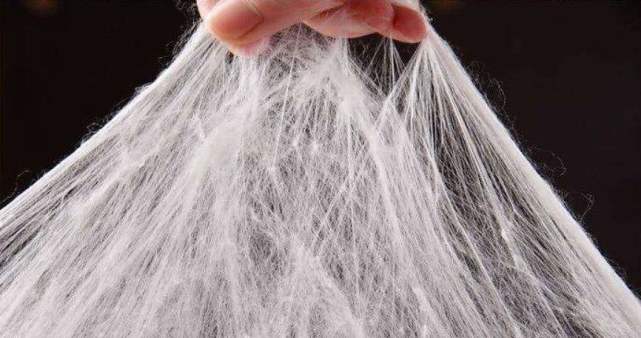 科学家研究蜘蛛丝新生物材料可预防感染,促进伤口愈合