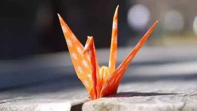 新诗|写诗是诗人的专利吗，不是诗人，文化不高的人写的诗就不是诗吗