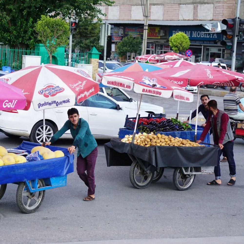 土耳其_时政|土耳其，一夜回到解放前