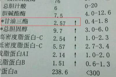 甘油三酯多高算嚴重超過這個值就要警惕動脈硬化附對照表