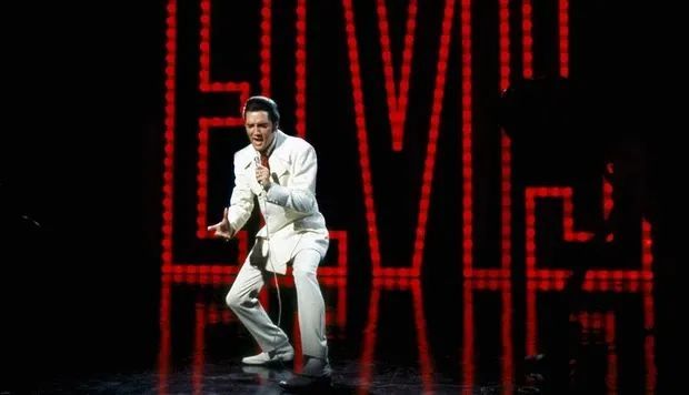 猛犸象|既能复活猛犸象，又能复活猫王，科学家们的“起死回生术”有多神奇？