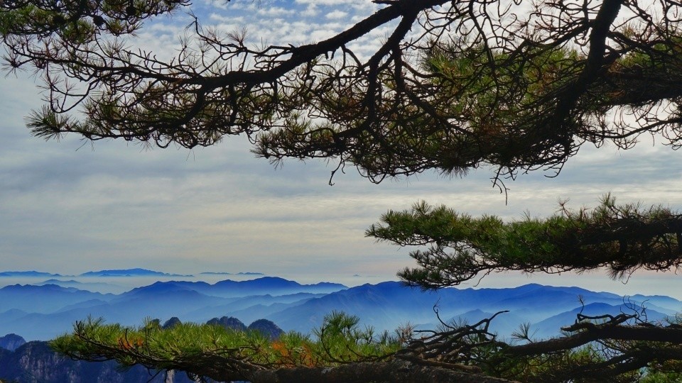 這其中最有名的當屬黃山