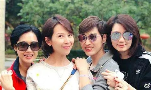 张丹峰|嫁给无名小生的女神们：蔡少芬高龄拼三胎，洪欣张丹峰疑婚变