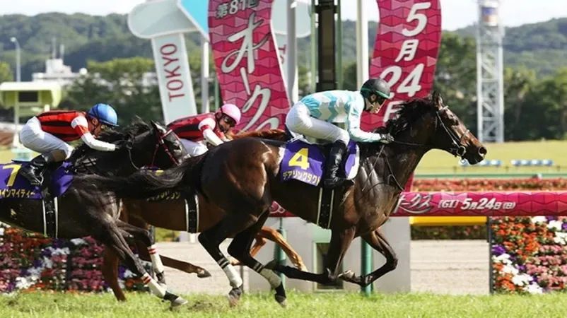 勇敢策略志在成为日本赛马史上首匹无败三冠雌马