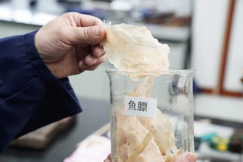 藏品|看看“在上博修文物”的这些人如何让藏品“重焕青春”