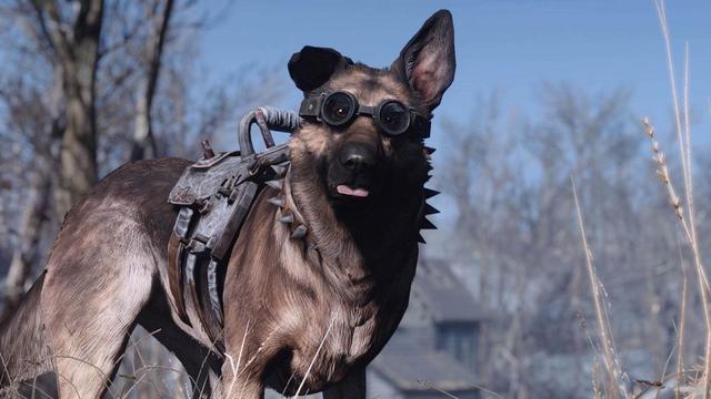 狗子还能这么玩辐射4狗肉升级版侦查耍杂技样样行