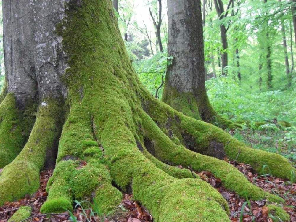 吸烟|如何戒烟？只有“心戒”，我成功戒烟的心路历程分享