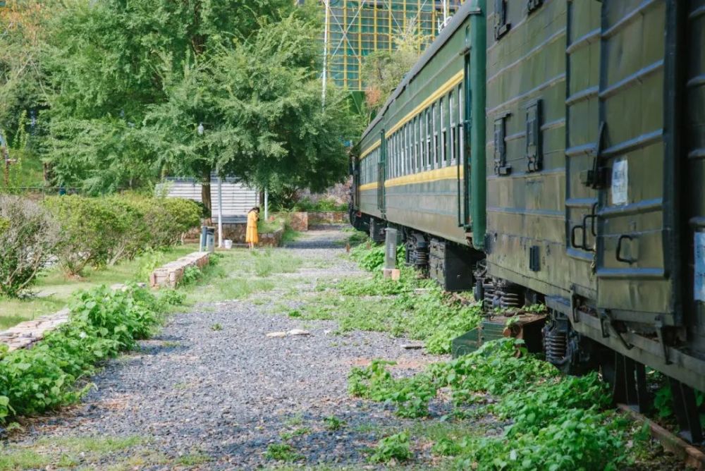 文艺青年|没有一个文艺青年能逃过长沙