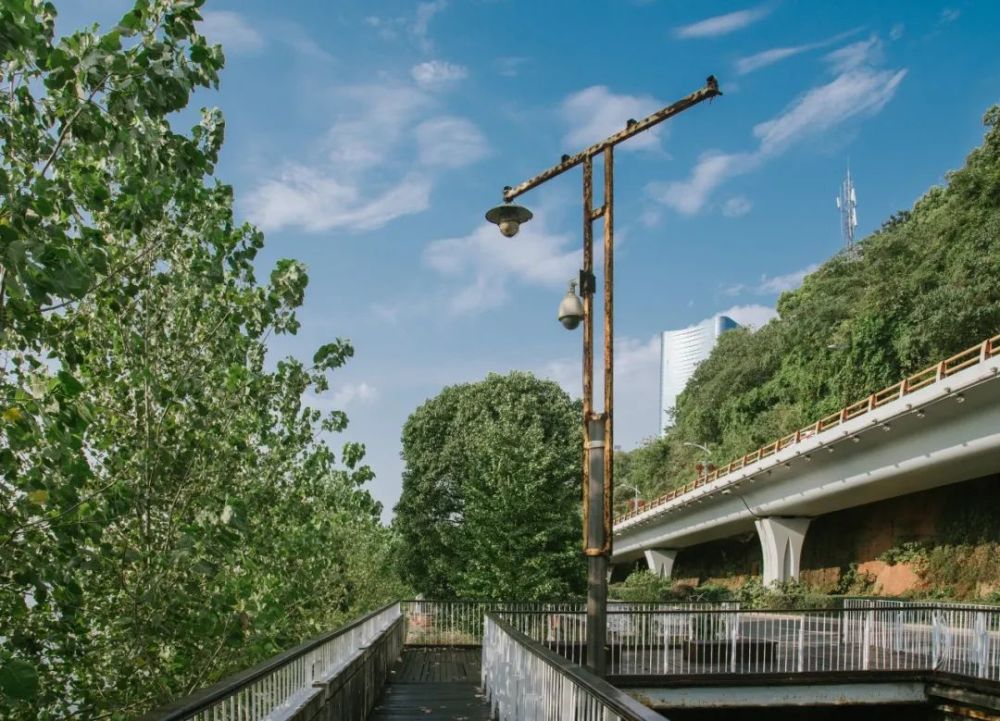 文艺青年|没有一个文艺青年能逃过长沙