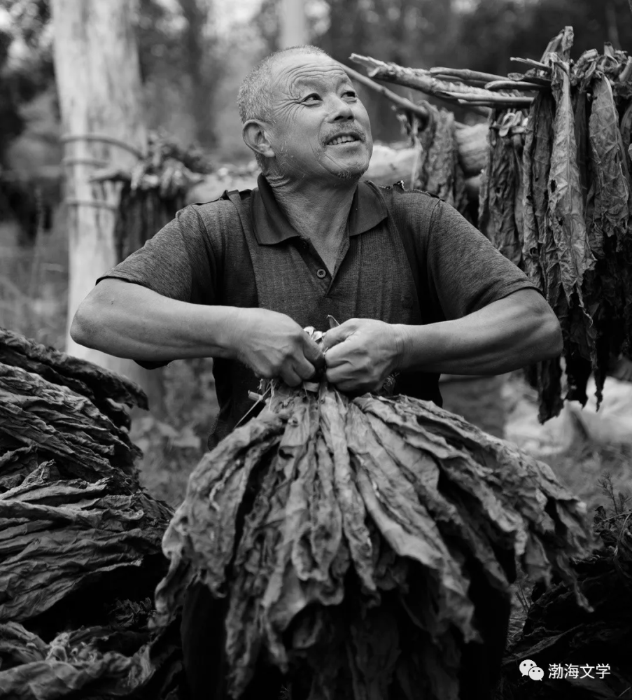 父爱|实拍滨州街头的“父亲们”