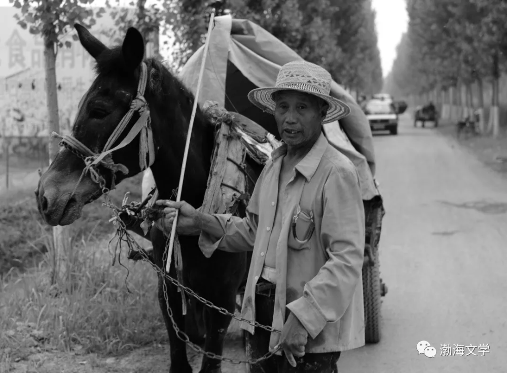 父爱|实拍滨州街头的“父亲们”