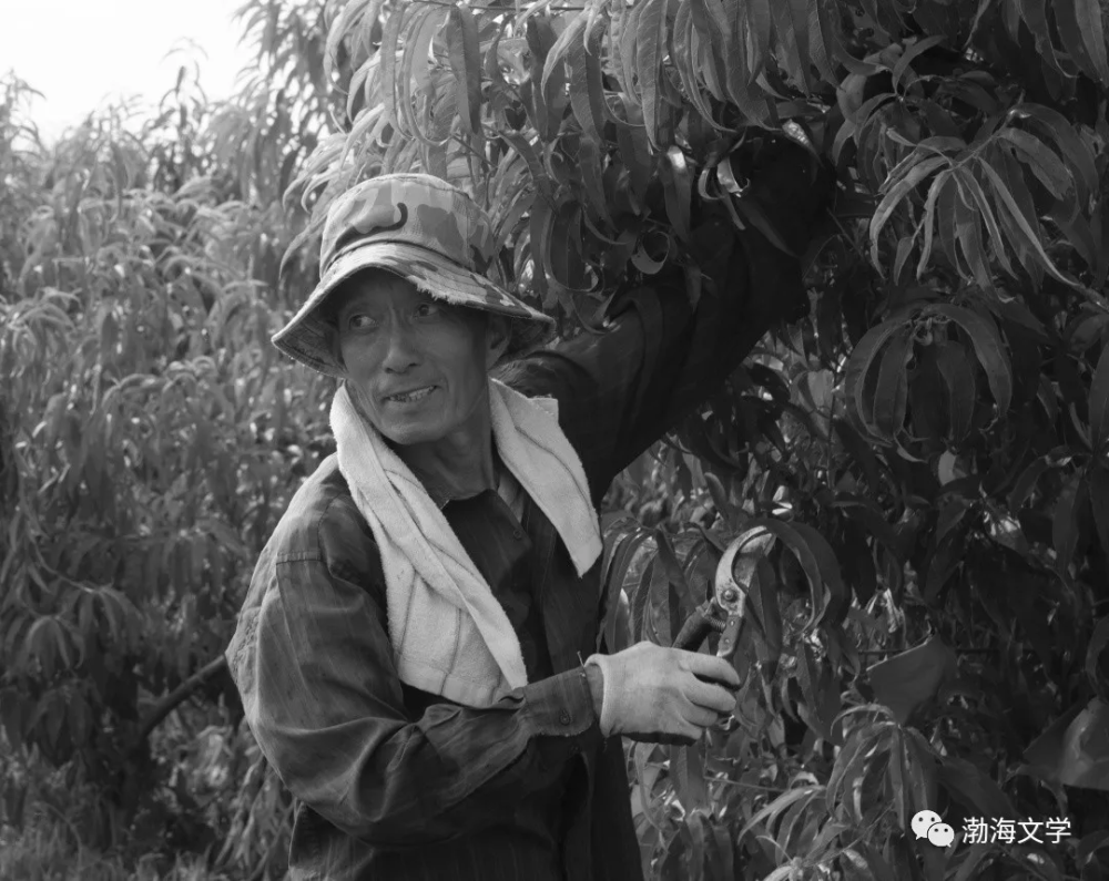 父爱|实拍滨州街头的“父亲们”