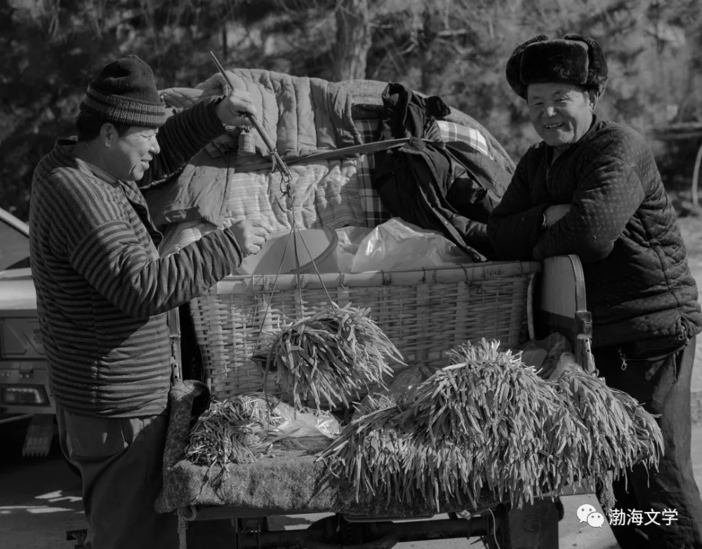 父爱|实拍滨州街头的“父亲们”