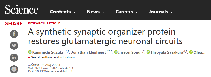 成功修复神经连接,有望治疗神经退行性疾病