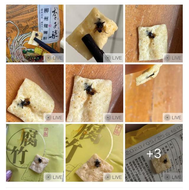 李子柒|李子柒卖货又翻车！食客曝蚂蚁镶嵌腐竹中，吃出虫卵蟑螂不止一次