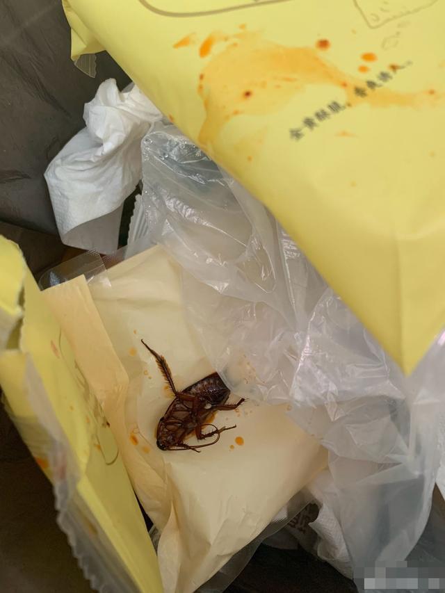 李子柒|李子柒卖货又翻车！食客曝蚂蚁镶嵌腐竹中，吃出虫卵蟑螂不止一次