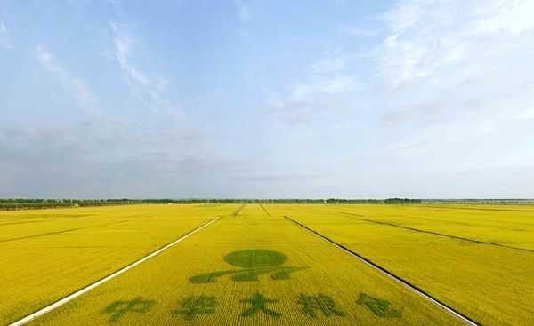 北大荒|中华大粮仓：国家把北大荒变成了北大仓，为何现在又要变回去呢？