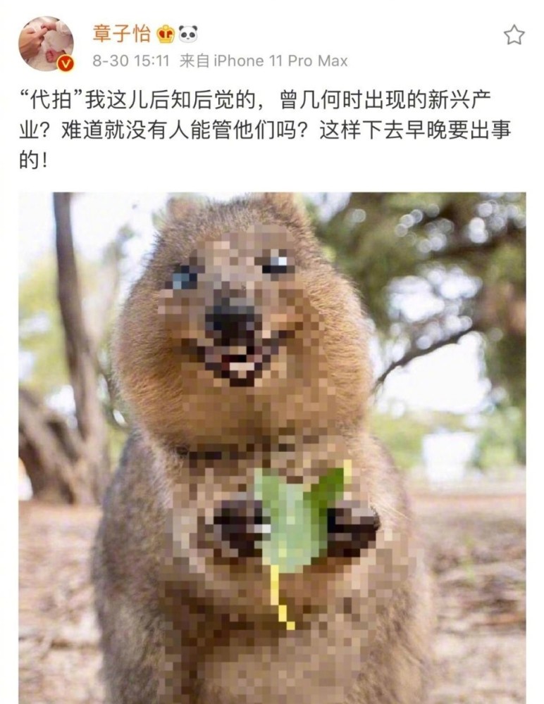 章子怡|章子怡力挺倪妮，怒斥代拍者，胡歌、杨幂、吴京曾经都是受害对象！