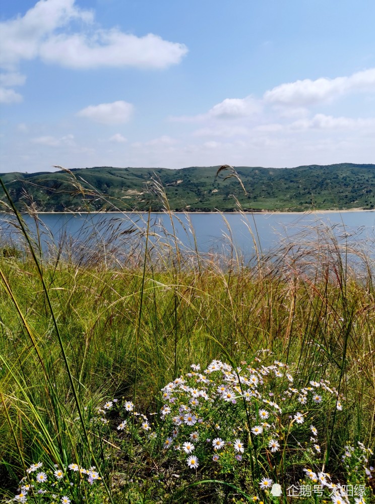 出句|云山远望心怀扩