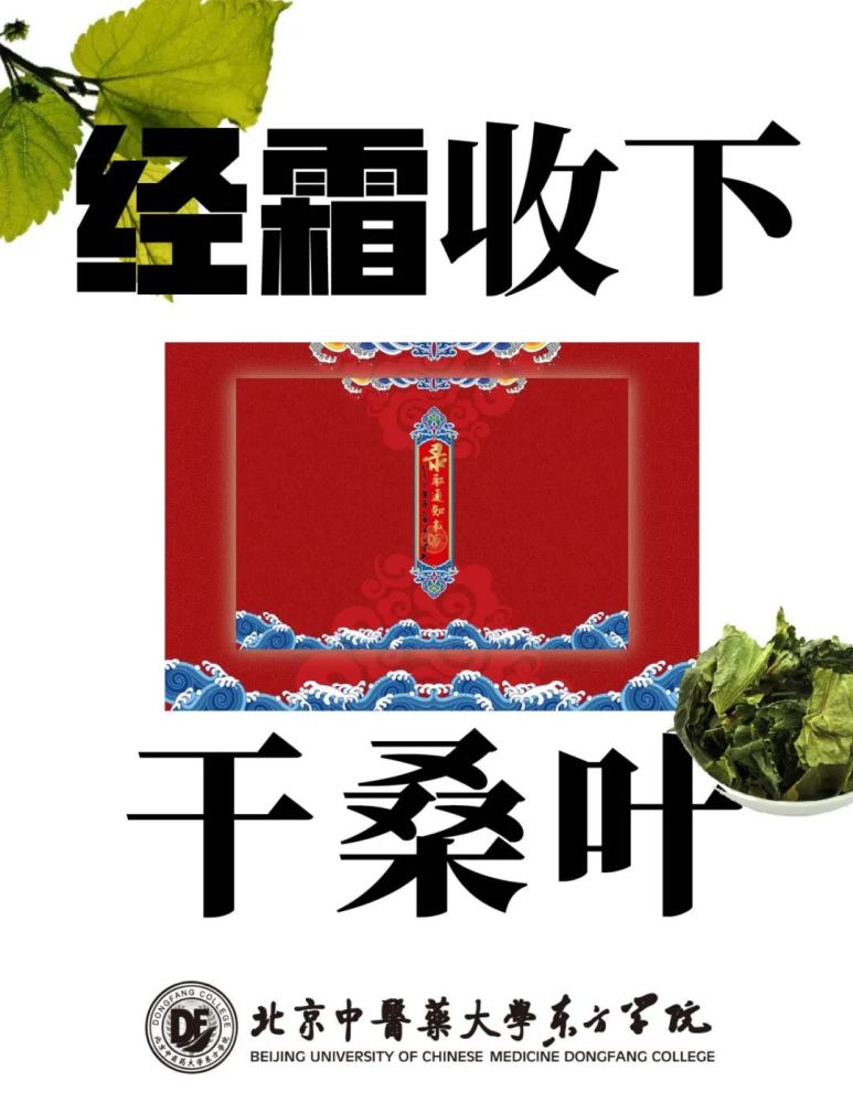 北京中医药大学东方学院|北京中医药大学东方学院录取通知书
