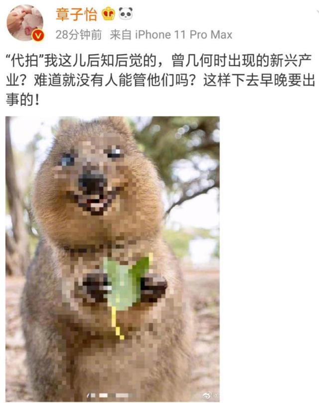 倪妮|章子怡发文怒斥代拍，倪妮被撞后反被威胁，好脾气回应获称赞