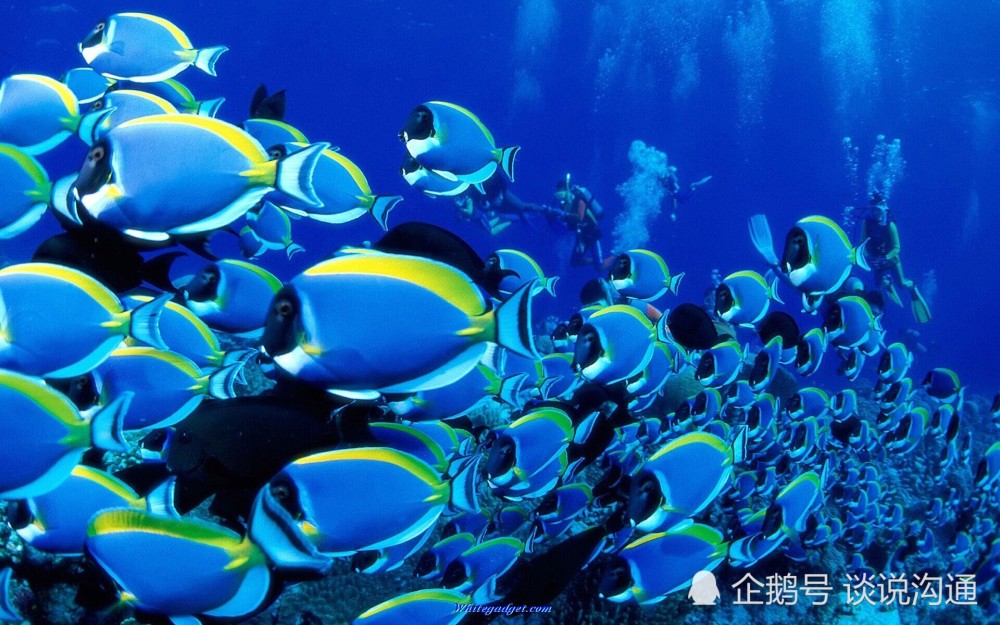 地球|人类为何出现这么晚？或许等待的过程就是真相！