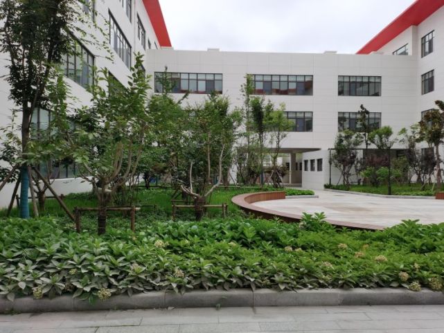 青岛二中院士港分校萌娃入学啦
