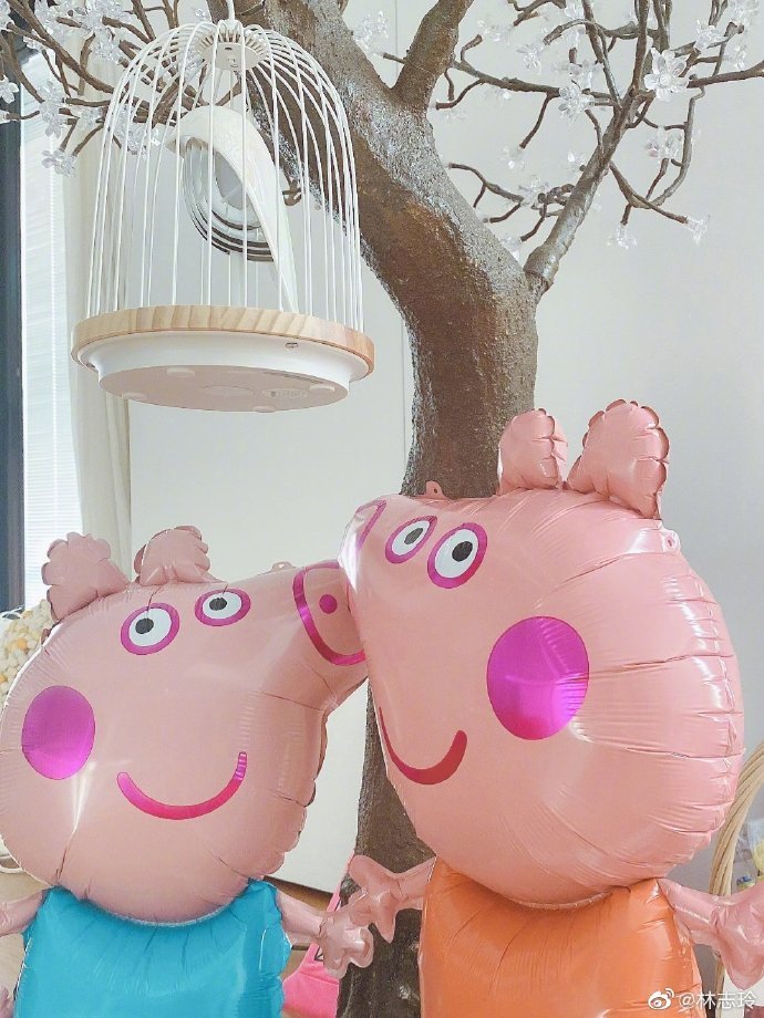 林志玲|黑泽良平担任棒球赛开球嘉宾，林志玲现身秀恩爱，力破夫妻不和谣言